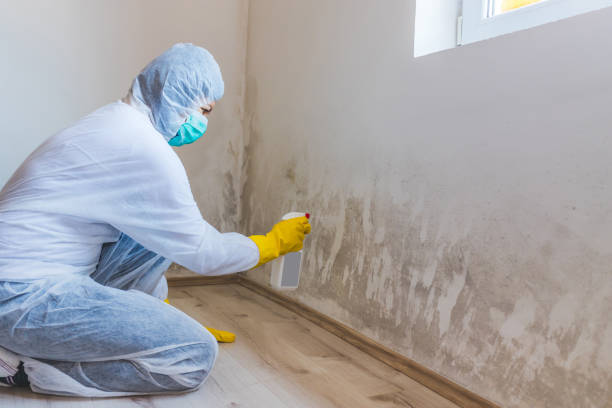 Licensed Crawl Space Mold Removal service in Mercer Island, WA - WQB Mold Removal