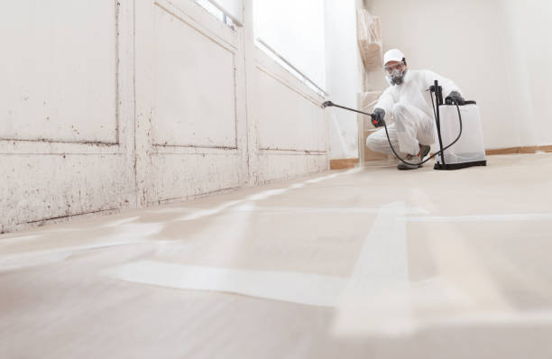 24/7 Emergency Crawl Space Mold Removal experts in Mercer Island, WA