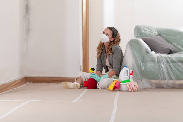Reliable Crawl Space Mold Removal contractor in Mercer Island, WA by WQB Mold Removal