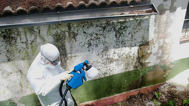Top rated local Crawl Space Mold Removal specialists in Mercer Island, WA